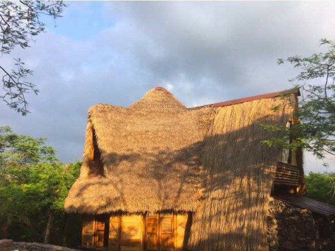 Casa Nido de pájaro