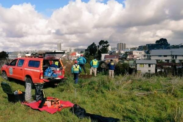 Perician osamentas encontradas donde buscaban a Claudia Agüero en Puerto Montt