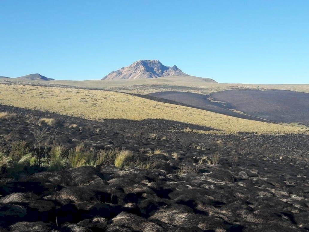Incendio en Reserva Ecológica Antisana fue liquidado tras tres días de labores