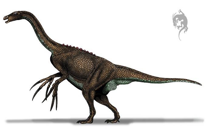  Nothronychus 