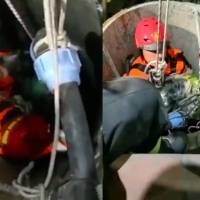 VIDEO: Rescatan a cachorro tras caer en un pozo