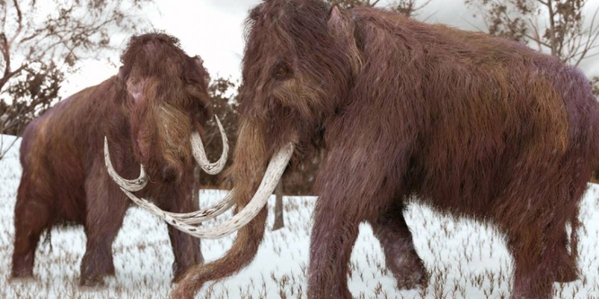 El mamut lanudo, el armadillo gigante y la extinción de otras especies por los seres humanos