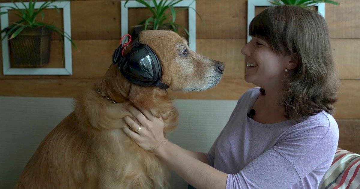 cão trovão 2