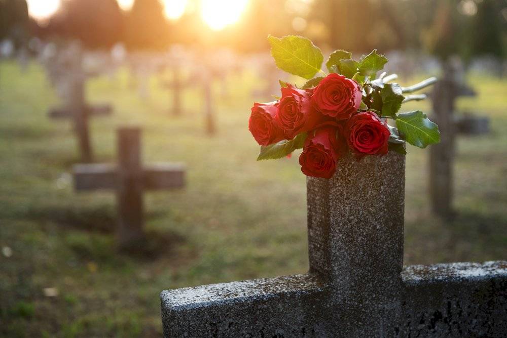 cementerio de fetos
