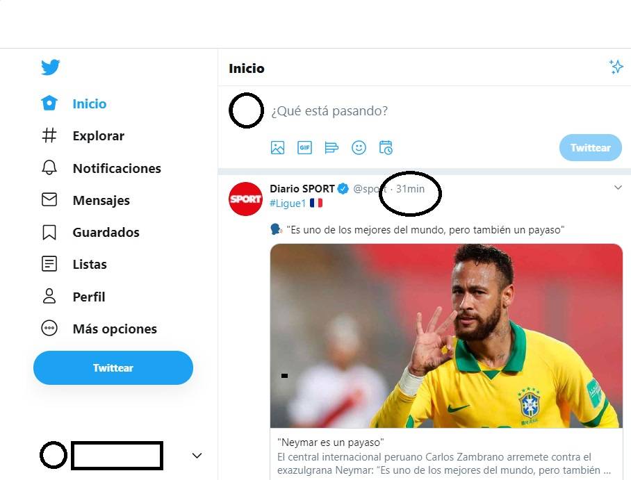  Twitter Problemas 2 