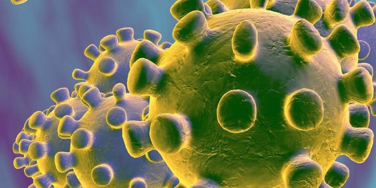 Coronavirus: por qué decimos que los virus no están vivos