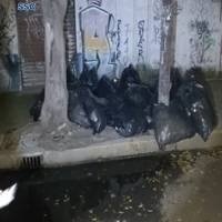 Encuentran bolsas abandonadas con medicamentos oncológicos en Azcapotzalco