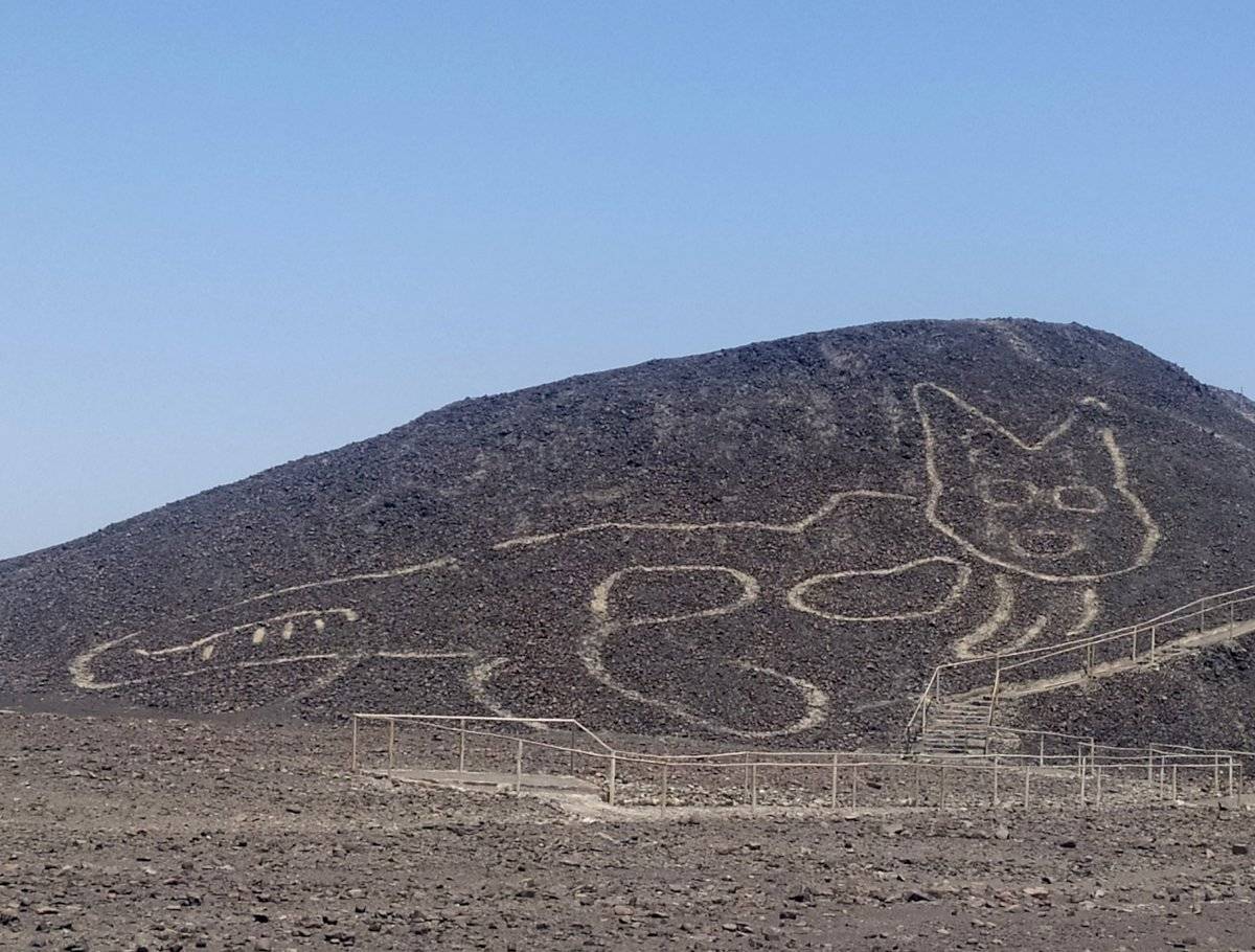 Un gato de unos 37 metros de largo reposando sobre una colina arenosa es la nueva figura que los arqueólogos del Ministerio de Cultura peruano han encontrado en la Pampa de Nazca.
