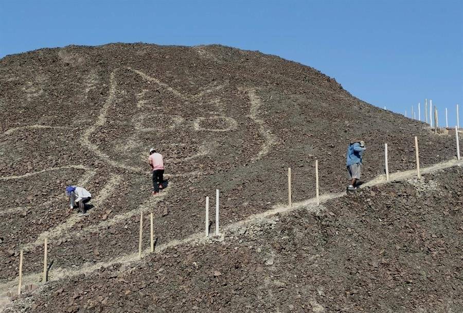 Un gato de unos 37 metros de largo reposando sobre una colina arenosa es la nueva figura que los arqueólogos del Ministerio de Cultura peruano han encontrado en la Pampa de Nazca.
