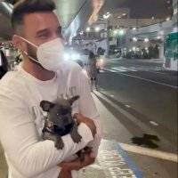Ricky Martin adopta un perrito french bulldog