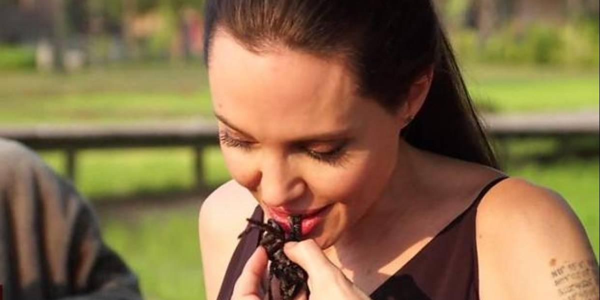 Grillos tarántulas gusanos! Así es la extraña dieta de Angelina Jolie