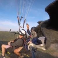 ¡De ensueño! Buitre se vuelve viral tras volar junto a dos viajeros en parapente