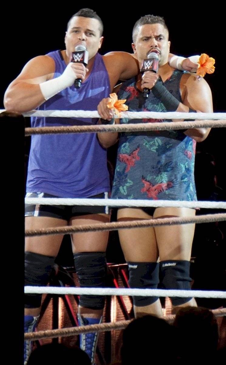 Primo y Epico