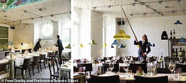 El experimento de la iluminación en la gastronomía. El experimento de la iluminación en la gastronomía.