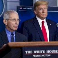 Trump llama idiotas a Fauci y expertos de salud en Estados Unidos
