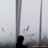 Durante la ceremonia del “palo volador” un hombre cayó de más de 10 metros de altura