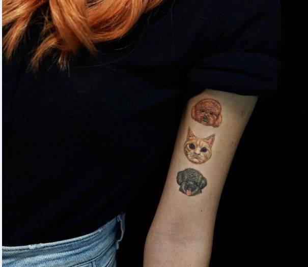 Tatuajes de animales Tatuajes de animales