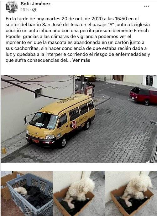 Publicación en Facebook del abandono