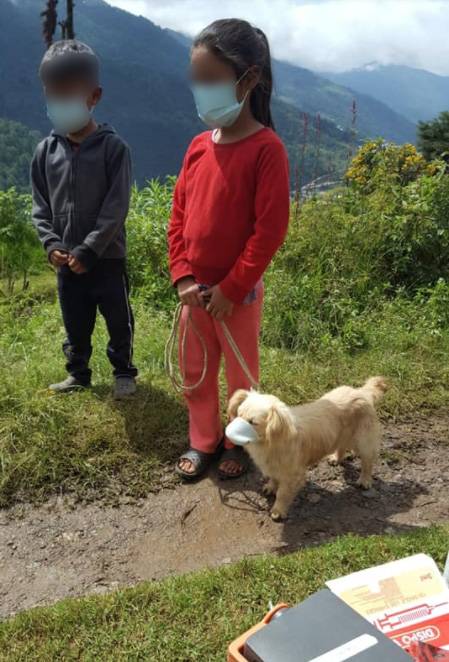 Perrito con mascarilla es llevado a ser vacunado contra la rabia