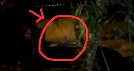 La imagen del supuesto duende en el Pailón del Diablo