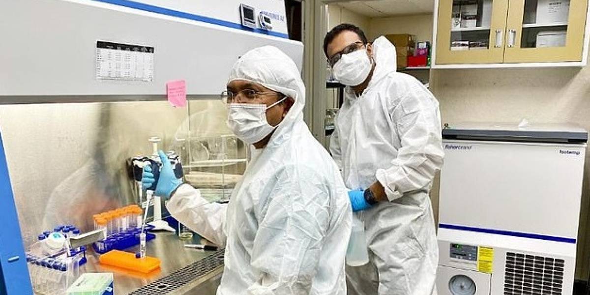 Ciencia: comenzarán los ensayos clínicos de la inyección que ayuda a restaurar la vista