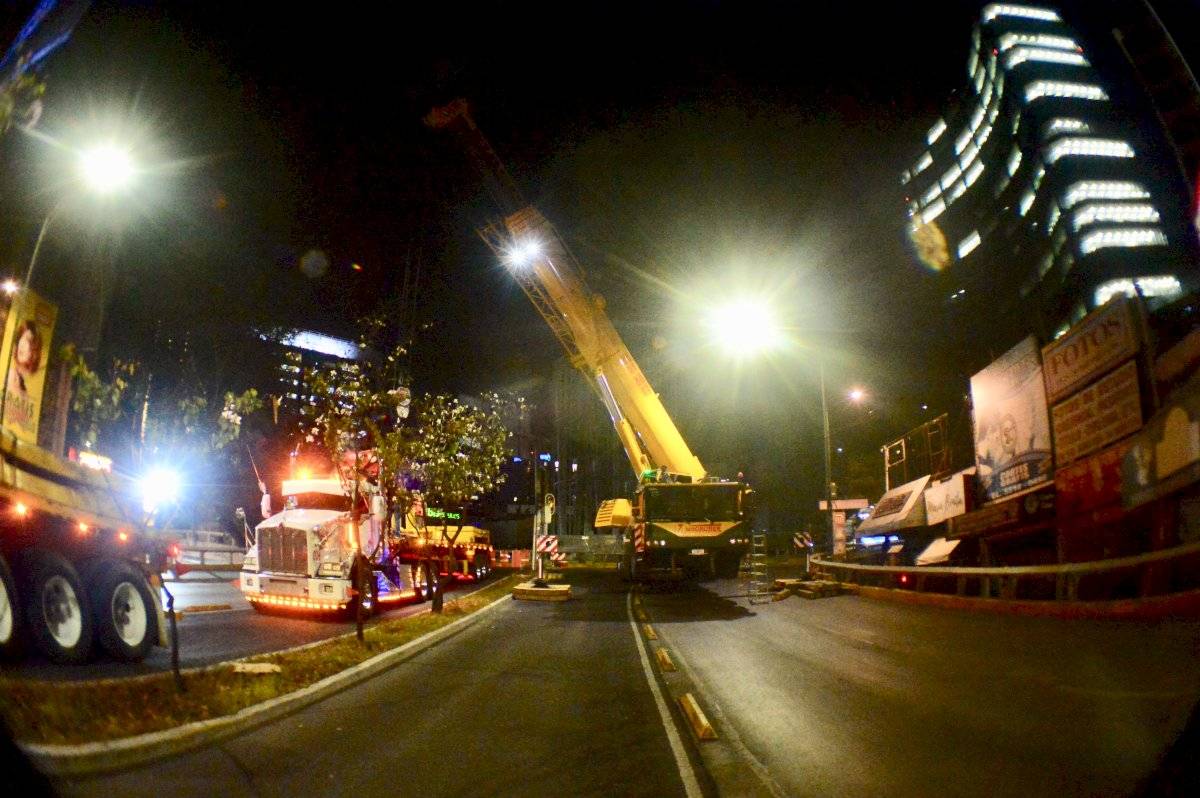 Trabajos Glorieta de Insurgentes