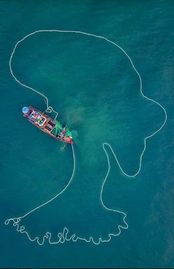 La dama del mar