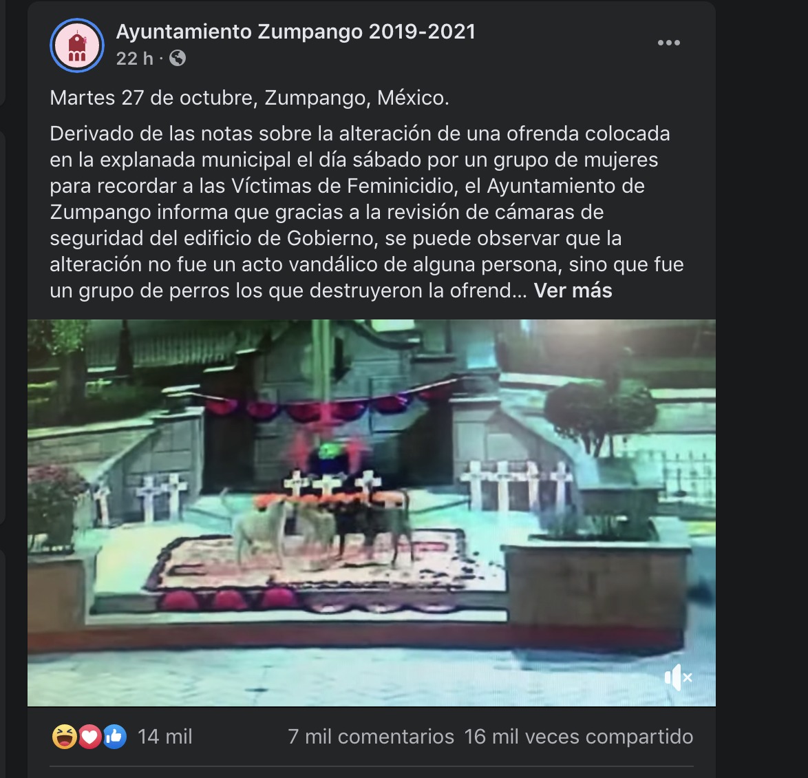 Perritos “vandalizan” ofrenda feminista en Zumpango