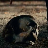 Regresa el terror en el primer avance de Halloween Kills