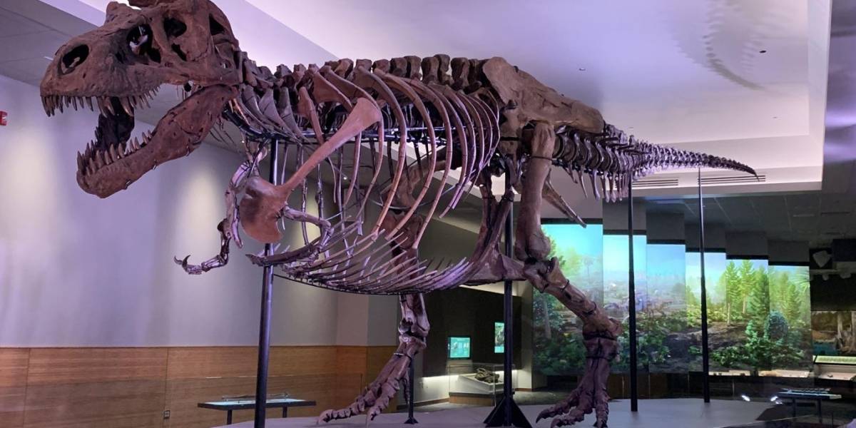 Científicos revelan la dolorosa causa de muerte de un tiranosaurio rex