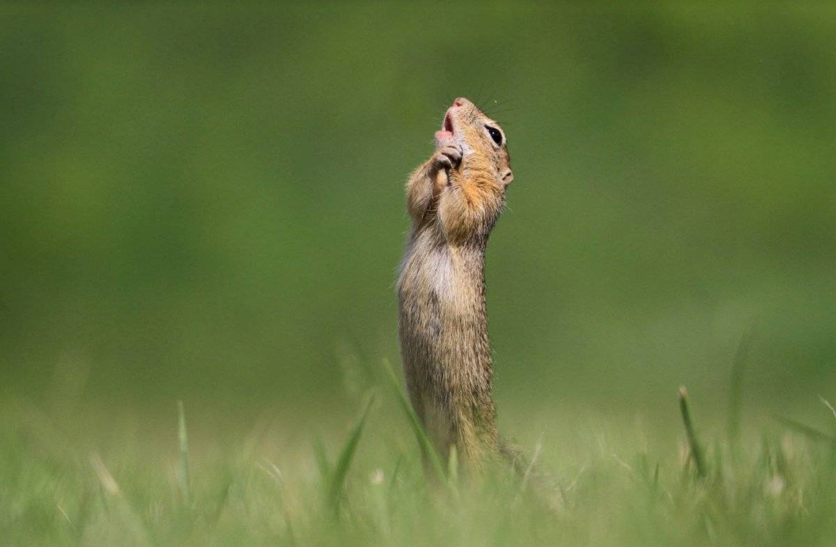 O Sole Mio