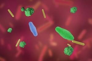 https://www.publimetro.com.mx/mx/noticias/2020/10/31/estados-unidos-investigadores-demuestran-que-una-bacteria-intestinal-de-origen-animal-podria-prevenir-la-enfermedad-cardiovascular.html
