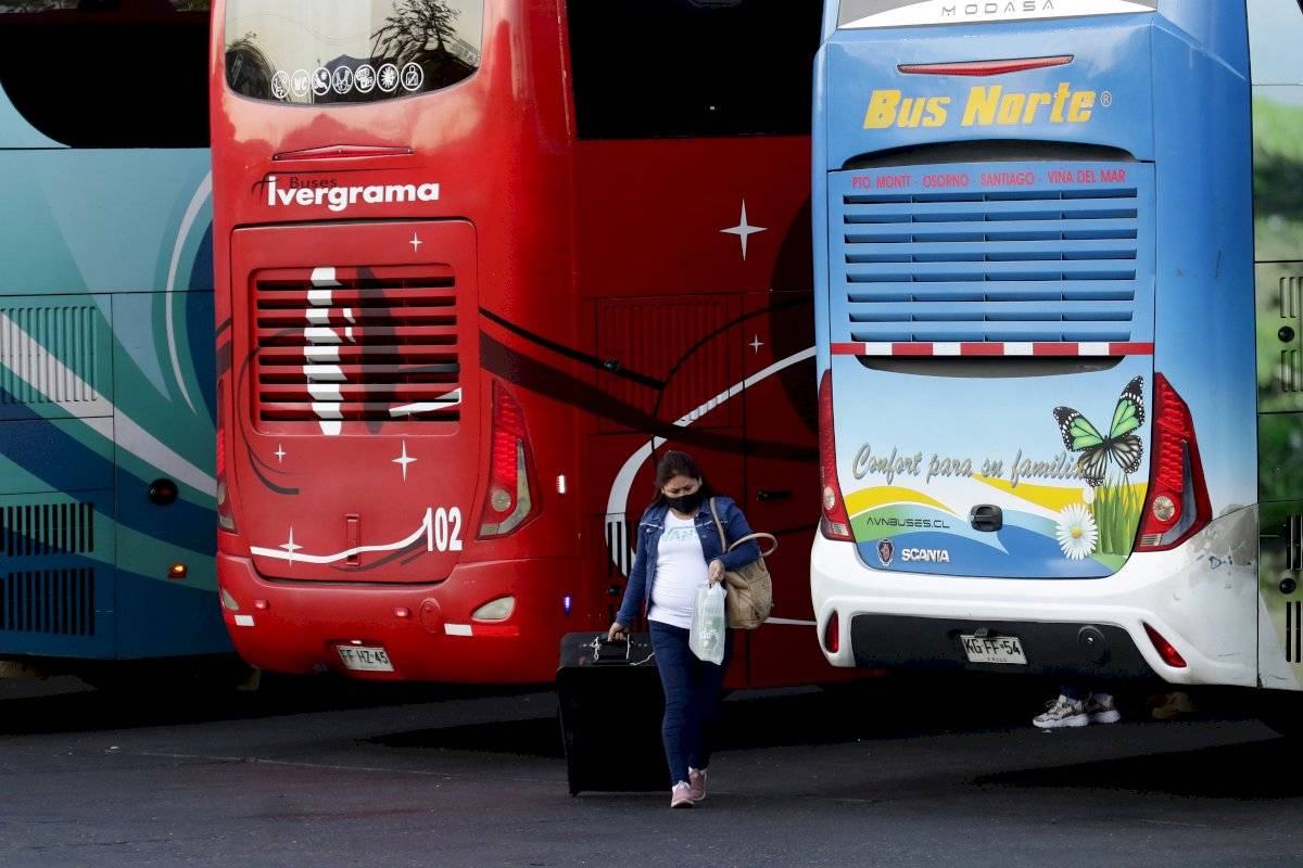 pandemia bus