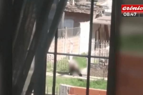Mujer se pasea desnuda por el barrio y defeca en la vía pública