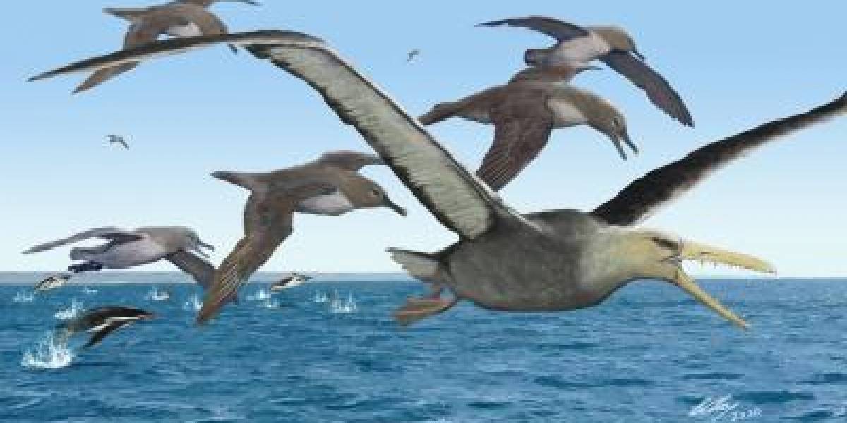 Los secretos descubiertos sobre las gigantescas aves prehistóricas de la Antártida