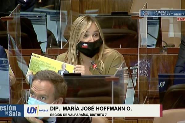 Diputada Hoffmann estalló tras acusación de exministro Pérez: "Por favor, que rasquería"