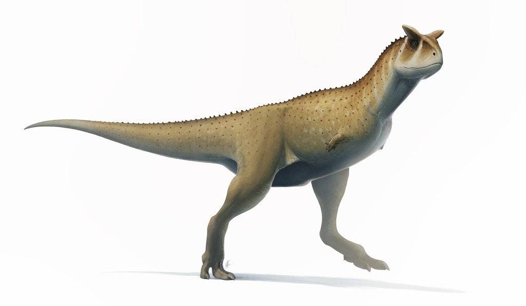 Dinosaurios