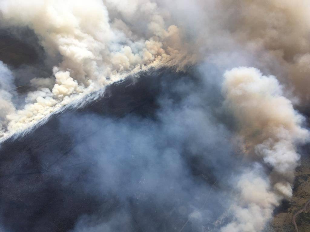 Controlan incendio del Parque Nacional Cayambe, 2000 hectáreas fueron afectadas