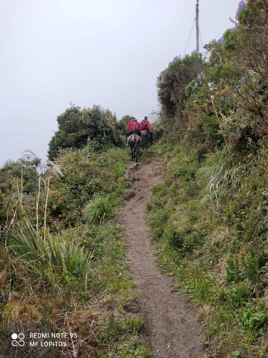 23 excursionistas fueron rescatados del volcán Tungurahua