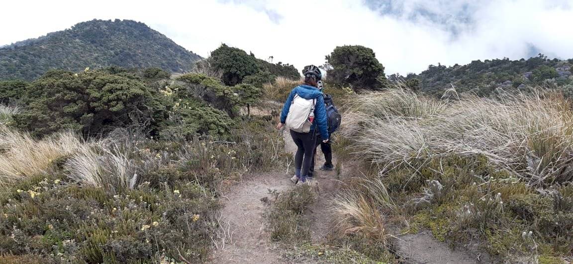 23 excursionistas fueron rescatados del volcán Tungurahua