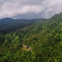 Hallan en buen estado de salud a cinco turistas desaparecidos en El Yunque