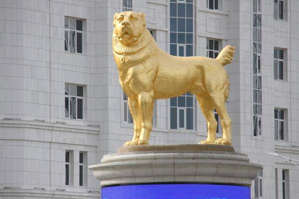 Se las mandó Turkmenistán: construyen gigante estatua dorada en homenaje a perro de raza local