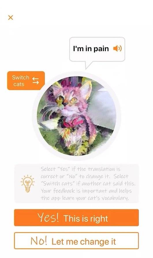 Amazon traductor maullidos de gato