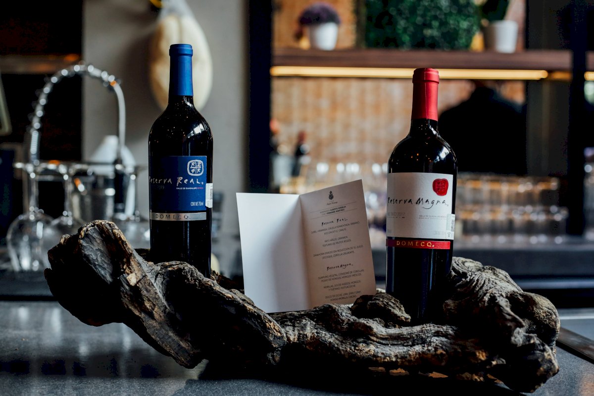 Vinos monovarietales Domecq