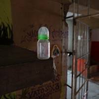 Buscan crear Registro Nacional de pederastas