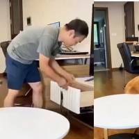 ¡Qué gran habilidad! Perrito se roba un bocadillo y enseguida abre un cajón y lo devuelve