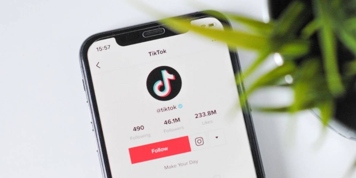 TikTok: estos son los 10 videos más vistos en 2020 y hay cosas muy extrañas