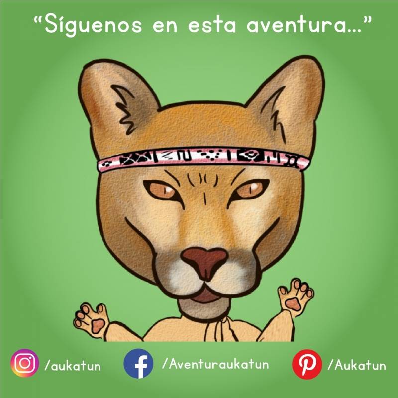 Aukatun