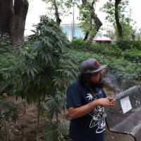 Sábanas, pipas y venta de mota en Reforma... acaparan Senado a 10 meses del 4/20