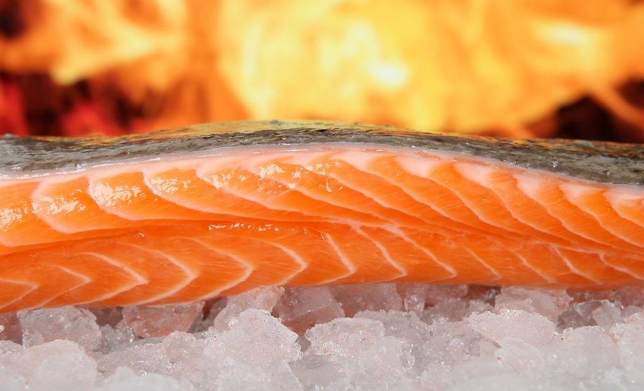 El Omega 3 fortalece las neuronas y otras funciones importantes de un organismo que está en crecimiento. Omega 3